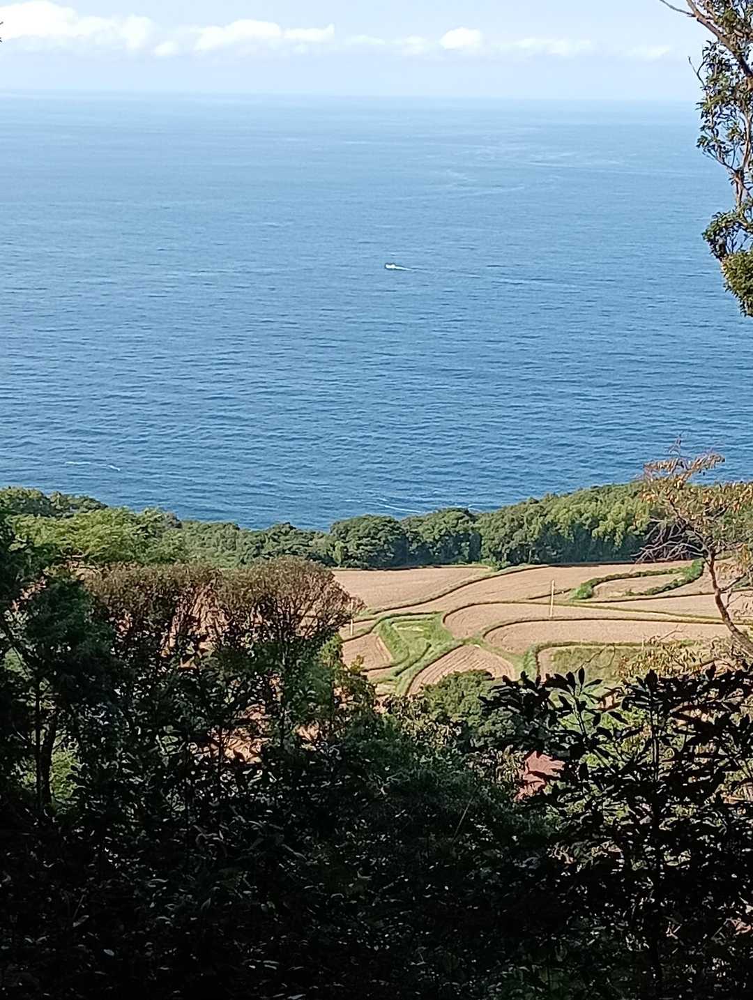 途中展望場からの棚田😀