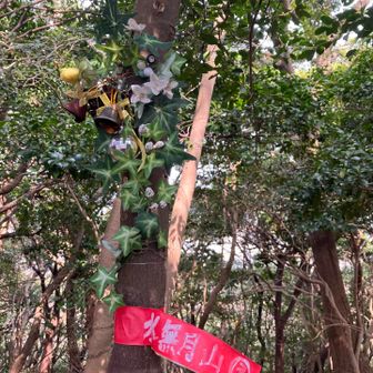 可愛いノ飾ってる