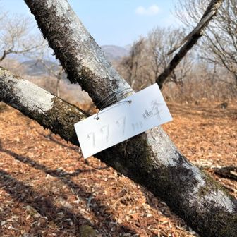 777峰登頂です⛰️