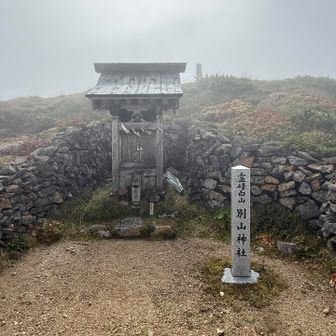 今回、美濃禅定道を辿り別山が白山主峰群に対する別の山であることがよく分かりました。美濃側からは大きな渇仰の山だったのでしょう。
