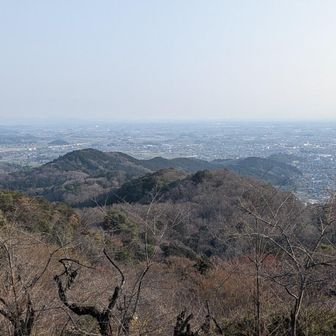 大平山神社⛩️から栃木市街。
今日は水蒸気MAX！春です。