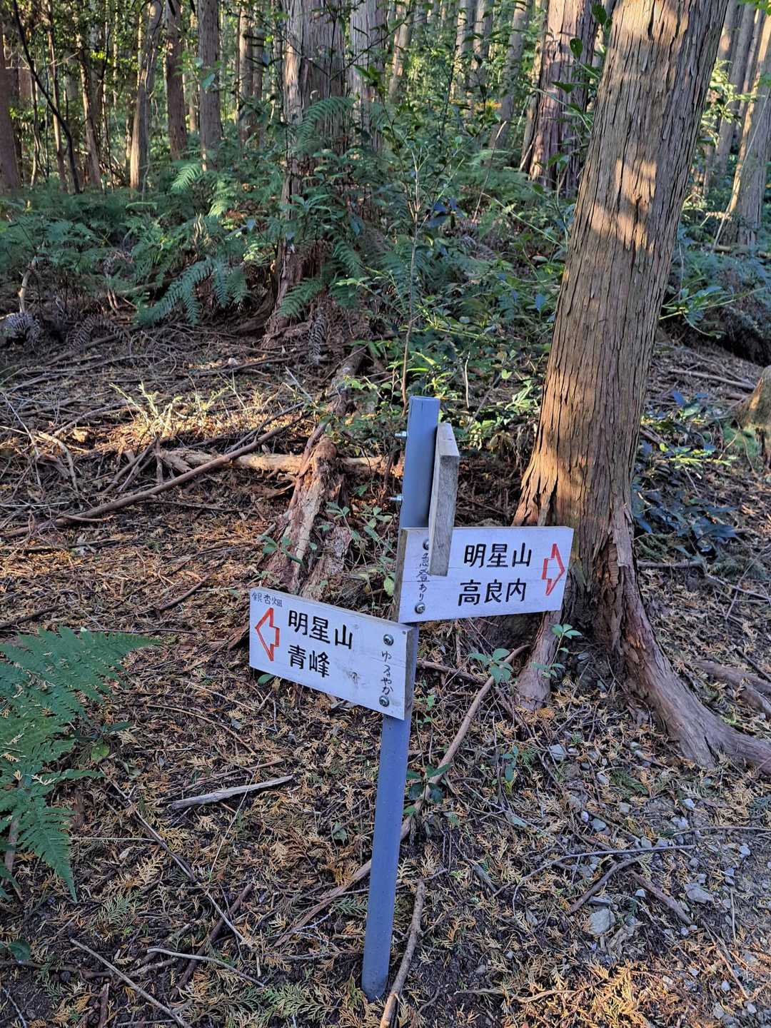 標識があちらこちらに
整備されてます