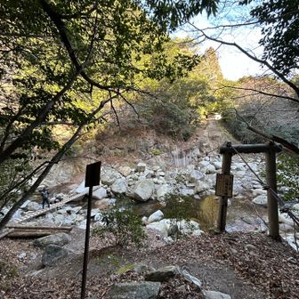 ちゃんとした橋、出来てました🙌

正面の長い梯子登ります　🎶