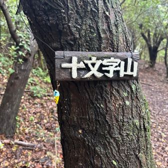 それたところに山頂標識