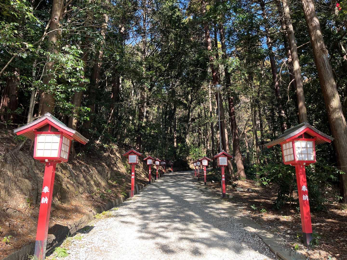 さて、登ります