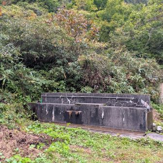 テン場は水使い放題