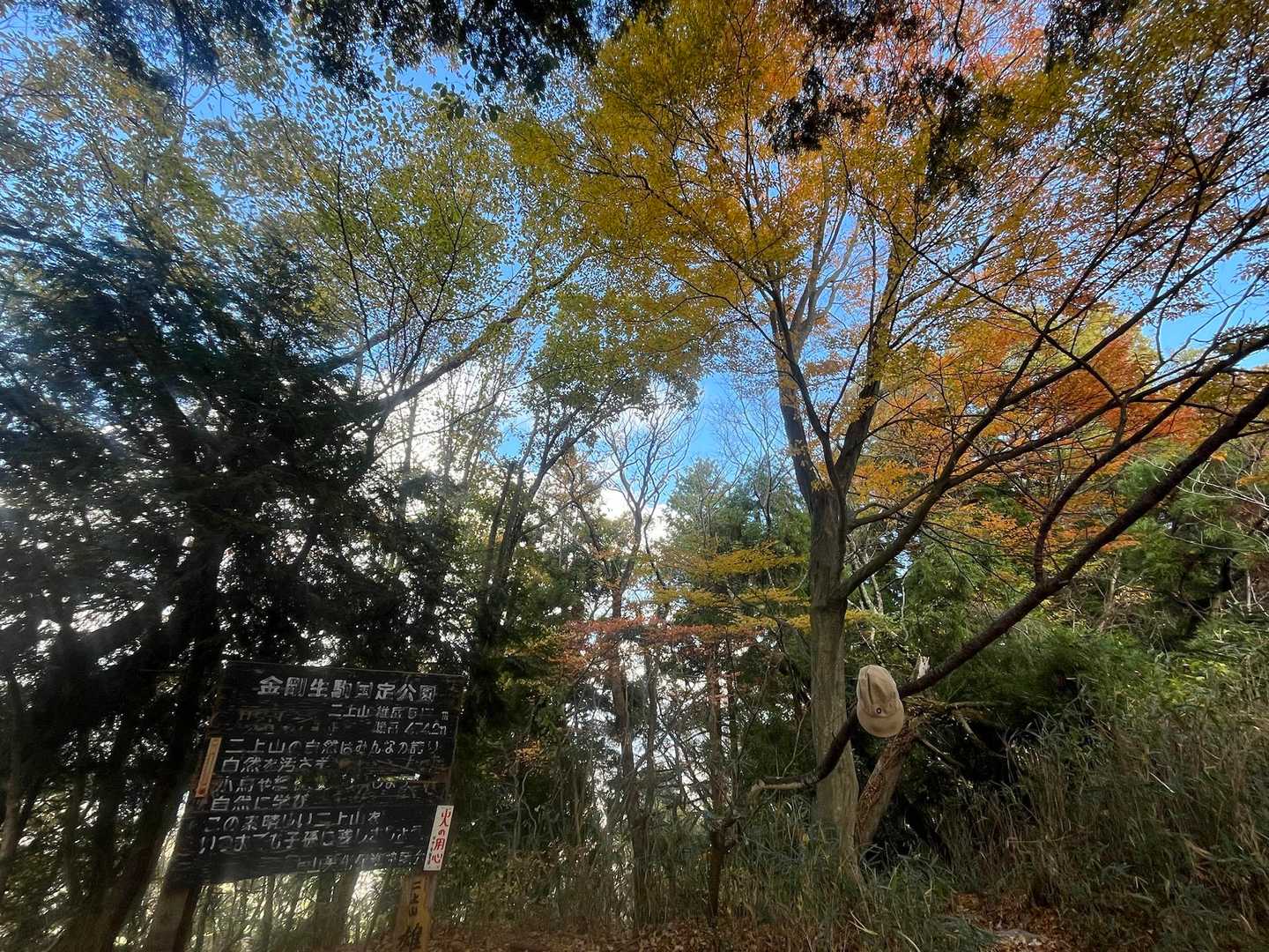 雄岳