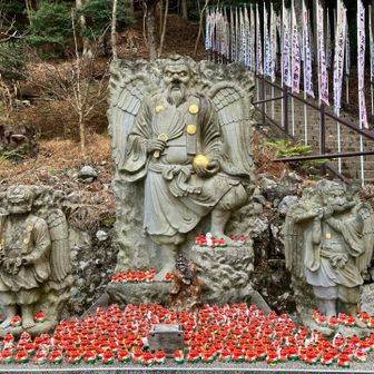 たくさんいますなあー