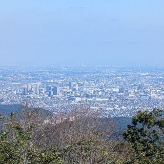 八王子の市街