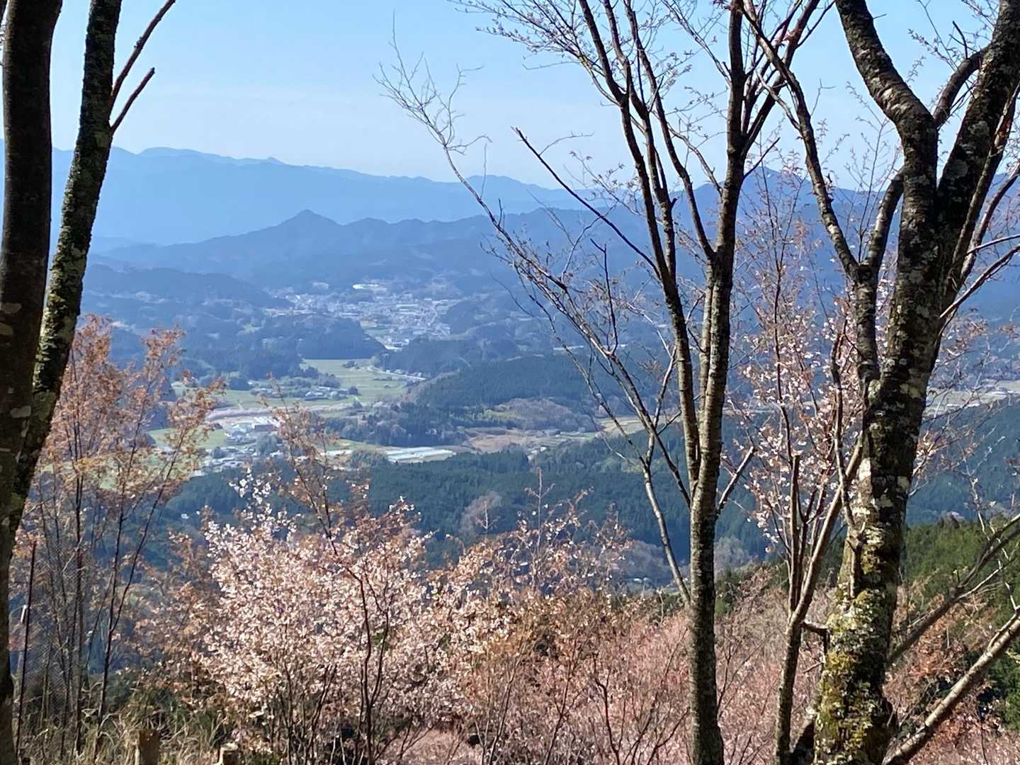 機嫌良く登りながら🥰