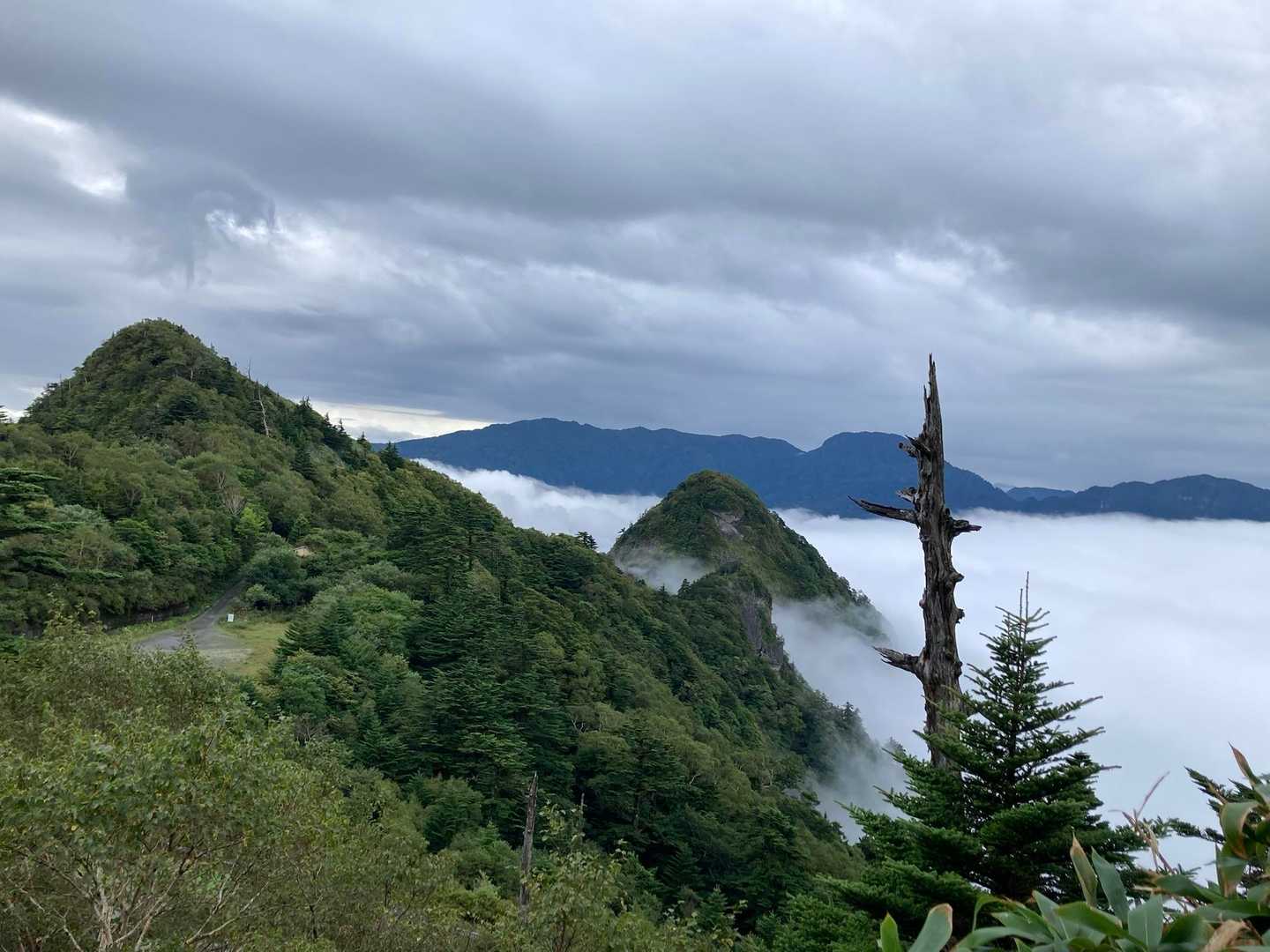 瓶ヶ森登山口発着｜四国最高峰を眺望する瓶ヶ森 周回コースの写真