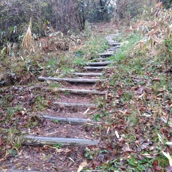 キレイに整備された登山道は快適です。