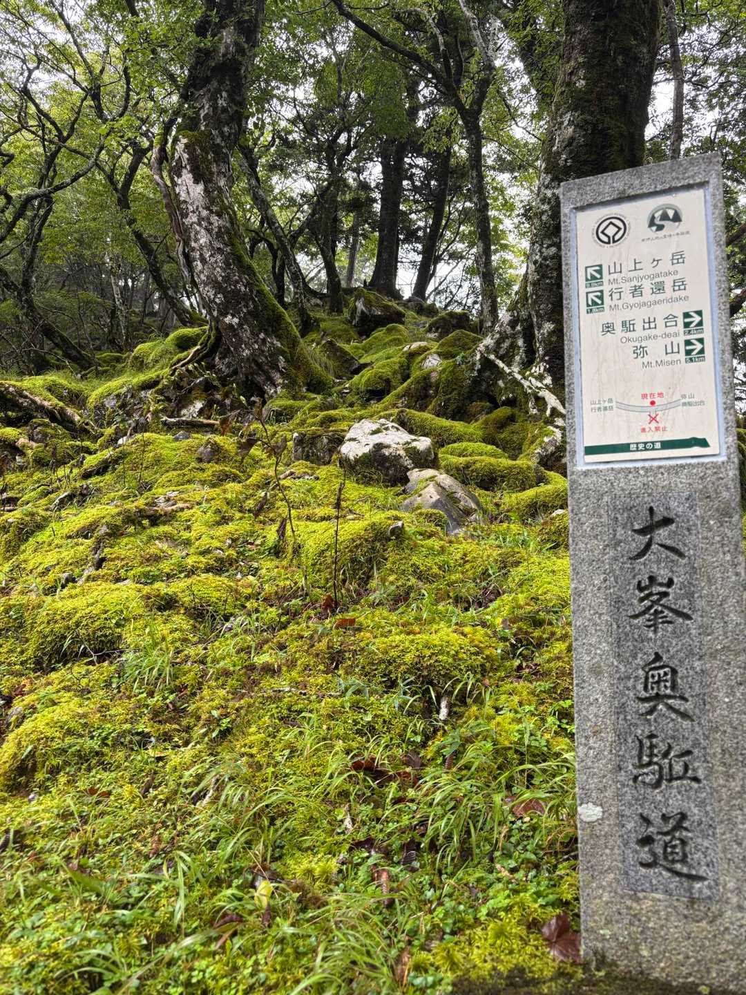 弥山登山口-行者還岳 往復コースの写真