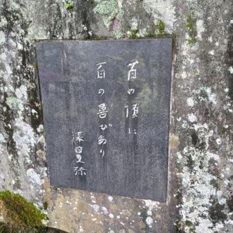 自筆の写し