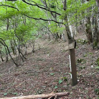 二蔵宿からは大天井ヶ岳の東側を大きく巻くようにして帰ります。