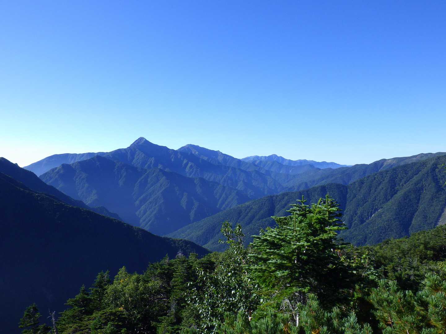 北沢峠-北沢峠バス停-仙水峠-駒津峰-双児山 周回コースの写真
