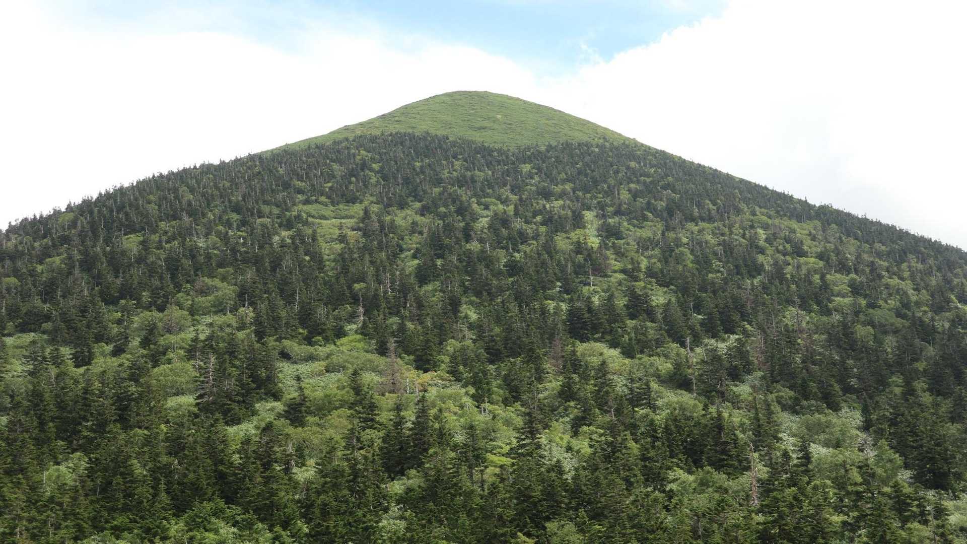 ここから高田大岳への急登です💦