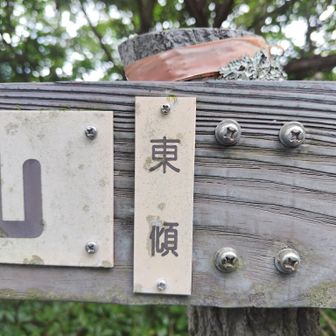 一度
傾山までであきらめたが
今回の目的が杉ヶ越ルートと
東傾山だったので
考え直し
無理してしまった