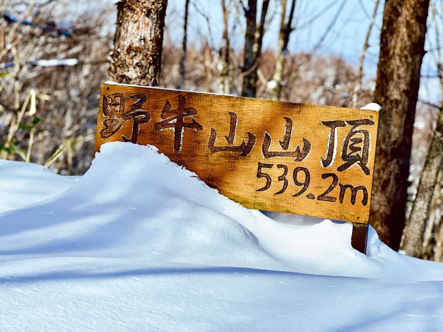 野牛山 往復コースの写真