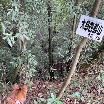 崖っぷち(笑)