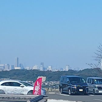 横浜見える