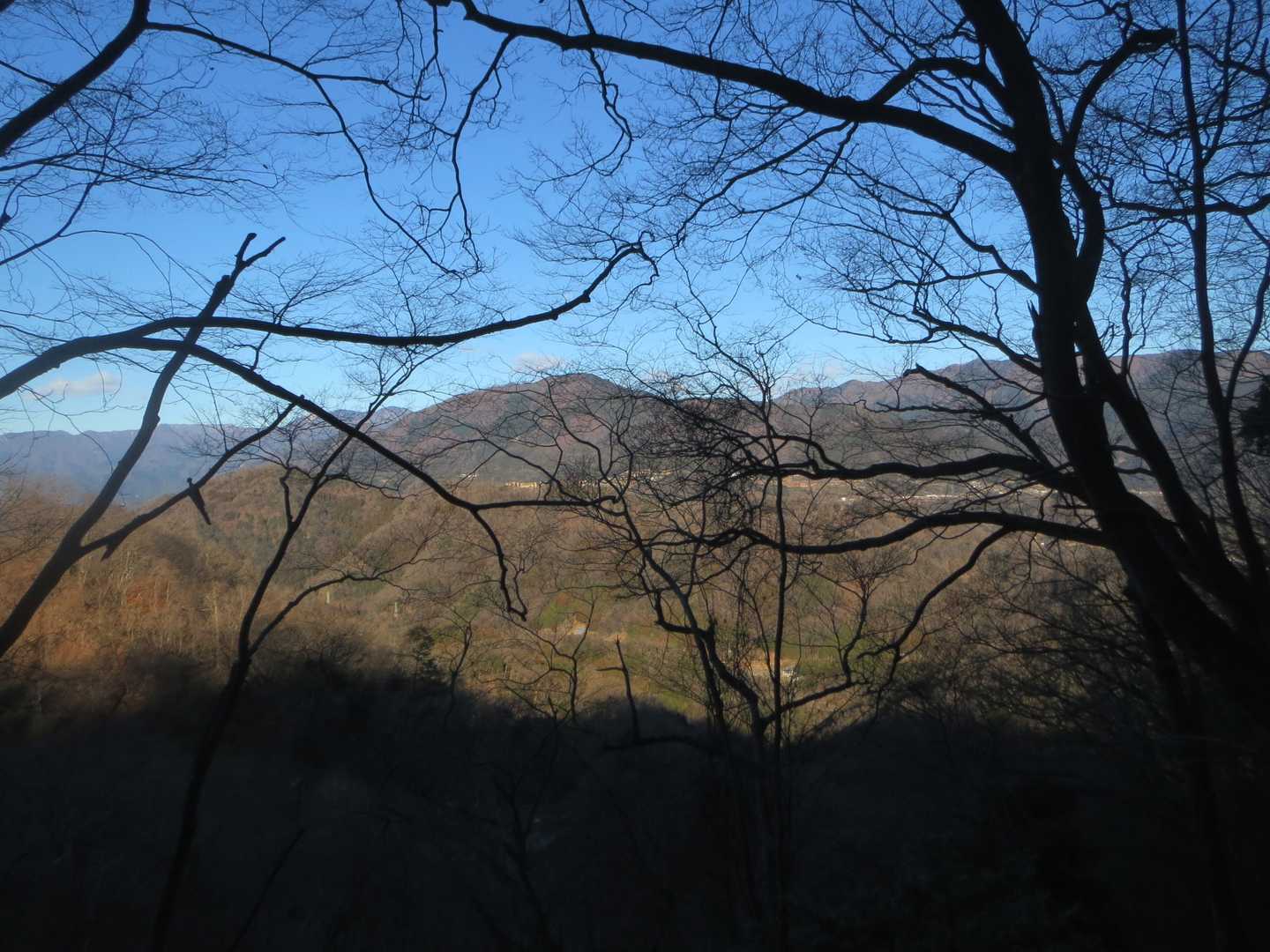 殆んど北側斜面なので
暗いし北風が寒い🥶
扇山・権現山方面👀