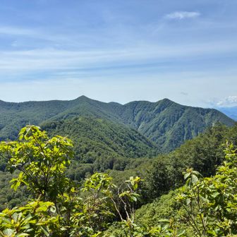 白森や黒伏山、沢渡黒伏も見える