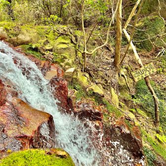迫力の西山大滝😳