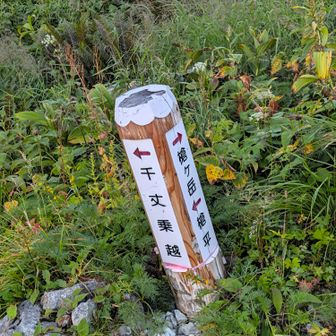 千丈乗越と飛騨乗越の分岐点