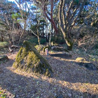 坊主山 山頂