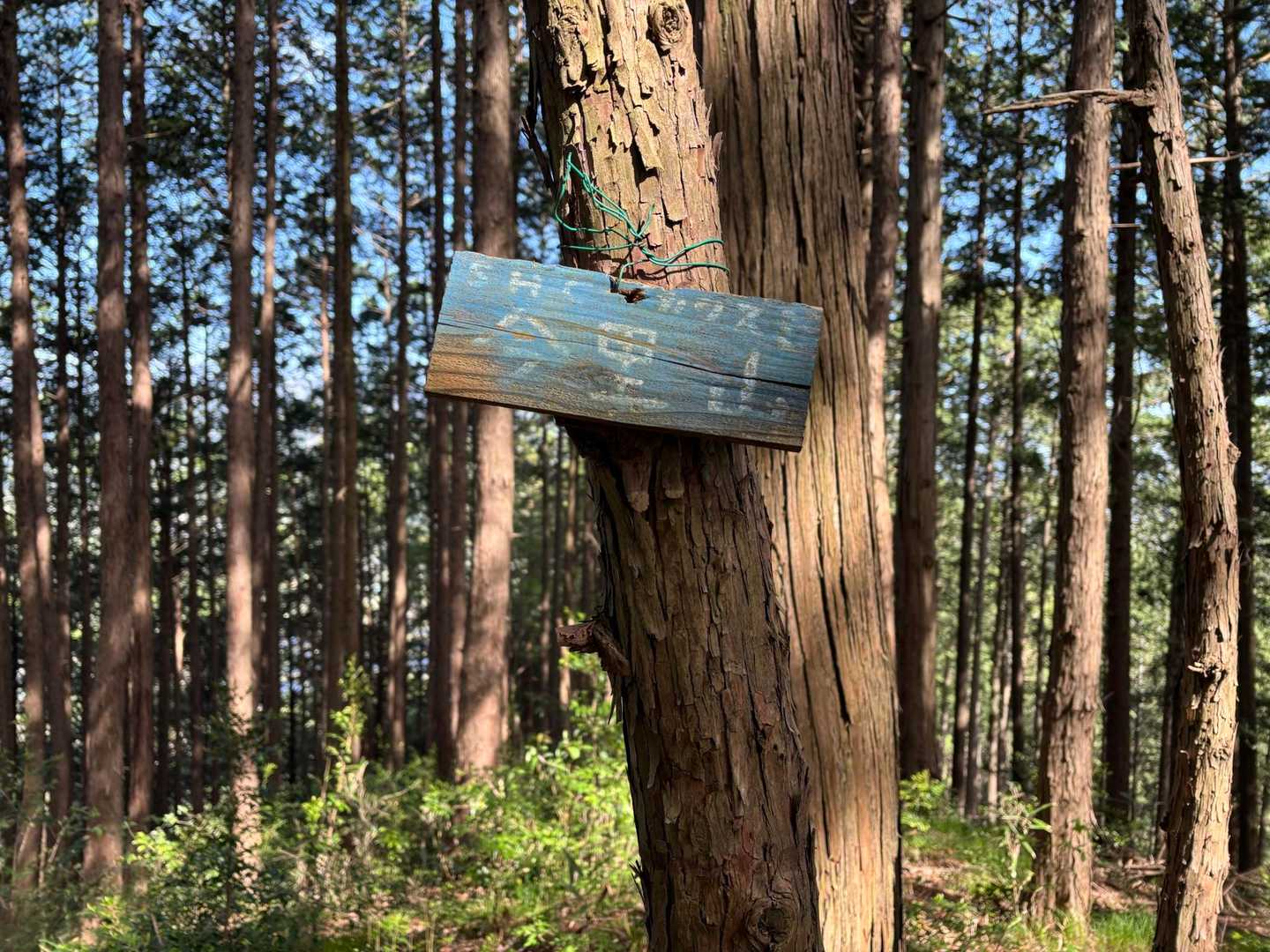 今里山到着