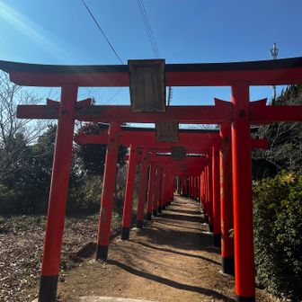 鳥居が美しい✨