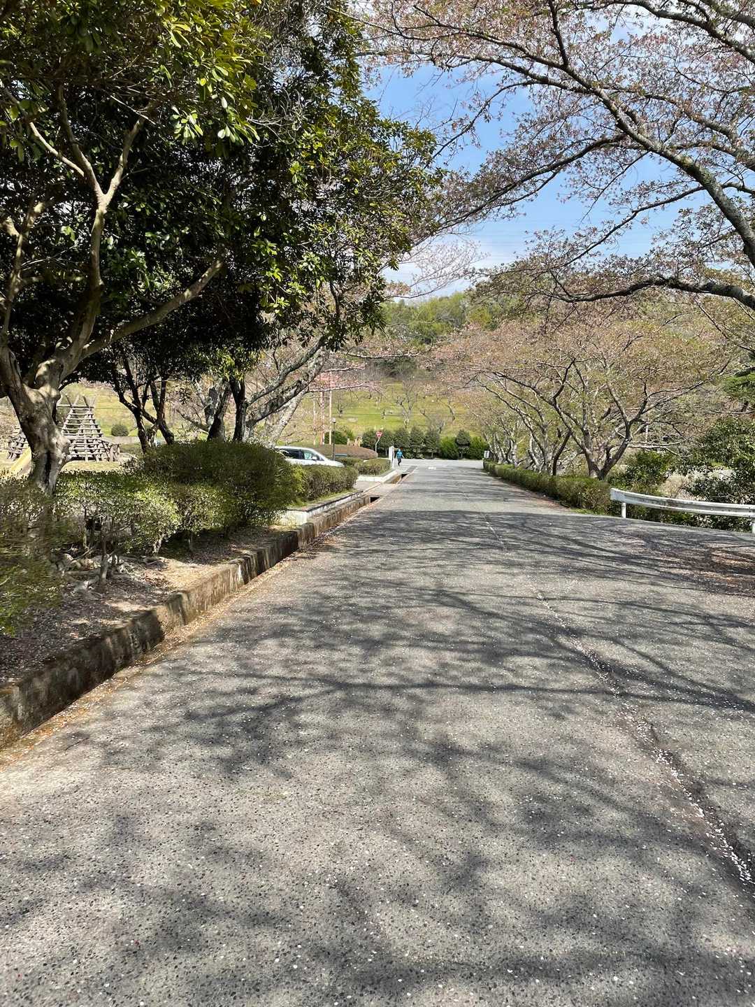 ごーーーーーる‼️