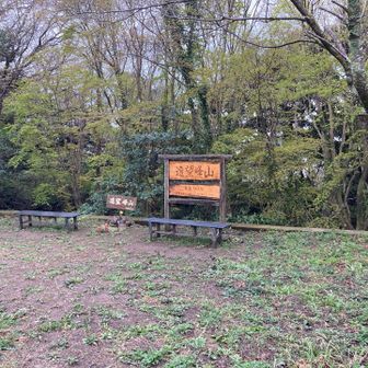 遠望峰山山頂👍