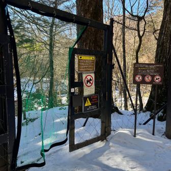 湯滝の防鹿ゲートを潜ります