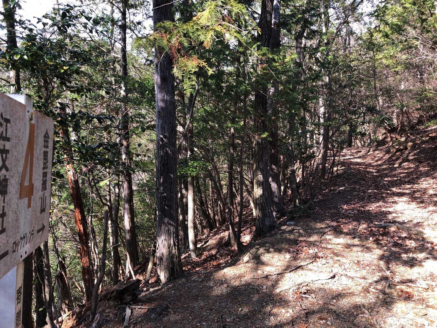 金毘羅山へ
登りでクライミングゲレンデに行きたかったけど、登りは一般登山道、下りで岩場とa-daiに言われ従うことに。
「私下りられへんかったらどうしよう」と不安を吐露したら「俺は行くけどな」とな。そういうとこやで。