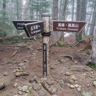 白鳳峠まで降りてきましたがキツい