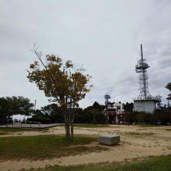 ここも少し色づいてきている…！
10月下旬くらいに紅葉ハイキングしたいな