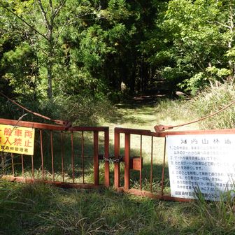 ここから少しだけ林道を歩くと、右に入ります。その後、少し道がわかりにくいが。