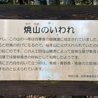 焼山のいわれ🧐