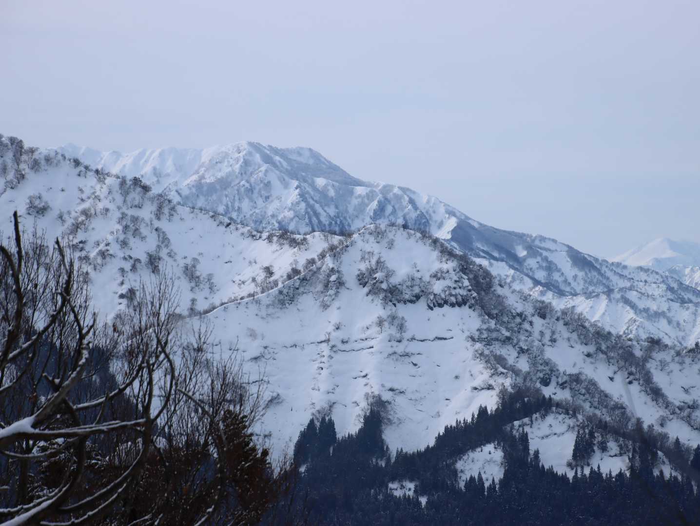金城山
