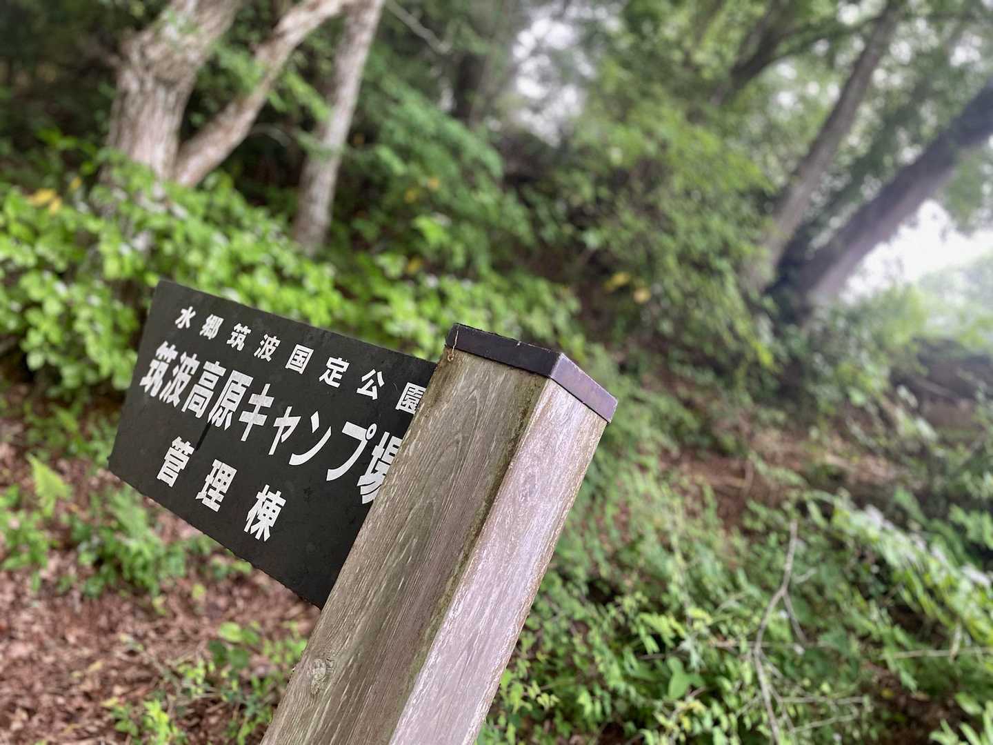 キャンプ場管理棟まで降りてきたら真っ白け〜☁️