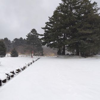 雪は少ないですが、さらさらして気持ちが良いです。