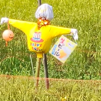 施設で生ビールも販売しているようです。
ここでトイレをお借りしました。ありがとうございます。