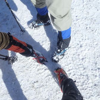 kopal＆ドンは12本爪、若者へは10本爪の前爪が張り出してない軽量タイプを貸出した