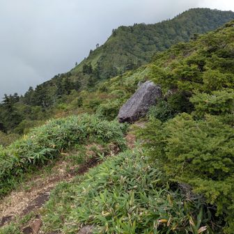 空は晴れているが回りはガスガスで早目の下山しよう
