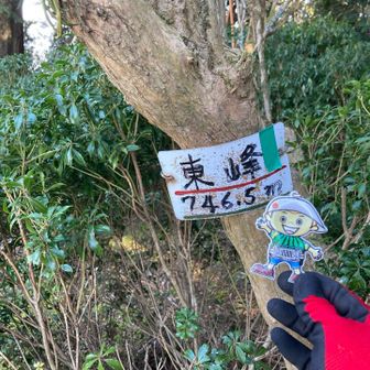 経ヶ峰東峰💚到着〜