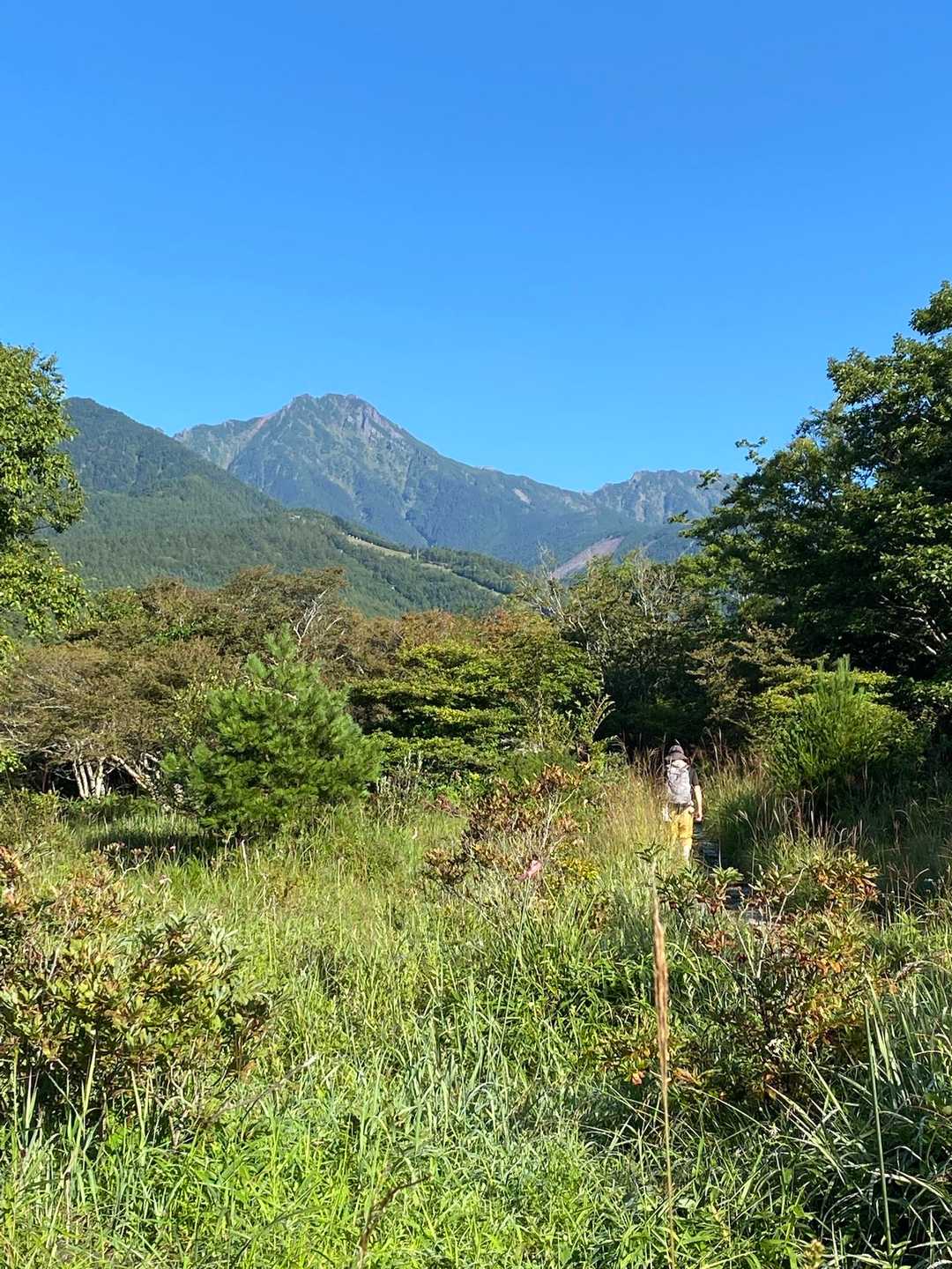 八ヶ岳の雄大な山並み。
青空に映える山々を眺めながら、真教寺尾根を登っていく。