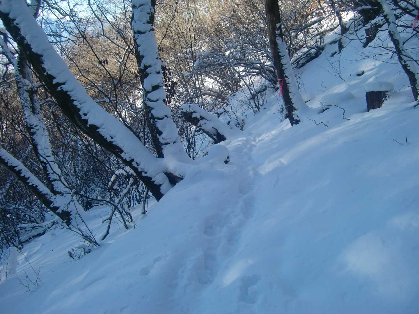 雪山歩行練習には良い場所です。