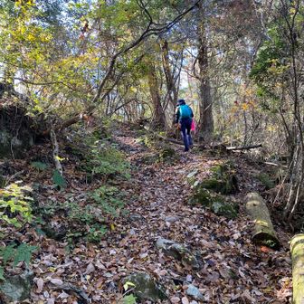 中々の急登もあり、汗だく💦